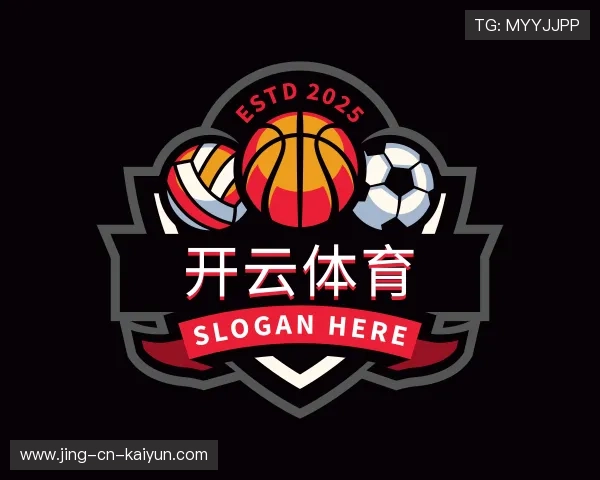 解读开云电竞服务